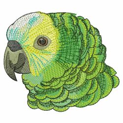 Cute Parrots 3(Md) machine embroidery designs