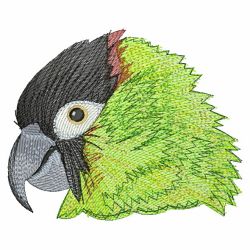 Cute Parrots 3 02(Md) machine embroidery designs