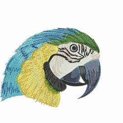Cute Parrots 3 03(Sm) machine embroidery designs