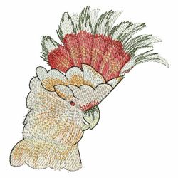 Cute Parrots 3 05(Lg) machine embroidery designs