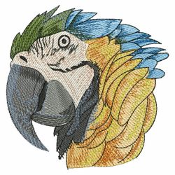 Cute Parrots 3 06(Lg) machine embroidery designs
