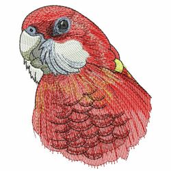 Cute Parrots 3 08(Md) machine embroidery designs