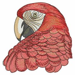 Cute Parrots 3 09(Md) machine embroidery designs