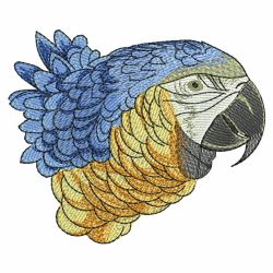 Cute Parrots 3 10(Lg) machine embroidery designs