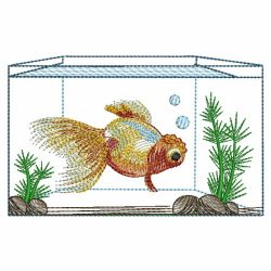 Goldfish 2 09(Sm)