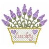 Lavender Delight 05(Lg)