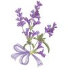 Lavender Delight 10(Lg)