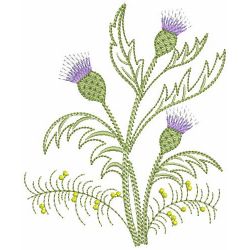 Thistle Delight 09(Lg) machine embroidery designs