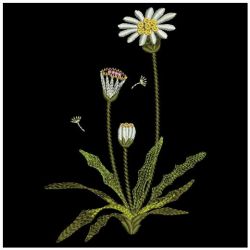 Dandelion Delight 03(Sm) machine embroidery designs