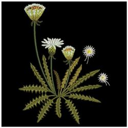 Dandelion Delight 04(Lg) machine embroidery designs