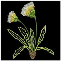 Dandelion Delight 06(Md) machine embroidery designs