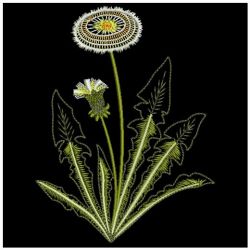 Dandelion Delight 07(Md) machine embroidery designs