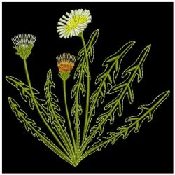 Dandelion Delight 09(Lg) machine embroidery designs