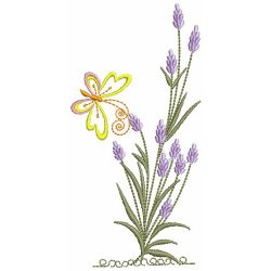 Lavender Delight 03(Md)