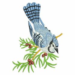 Birds Collection 2(Lg) machine embroidery designs