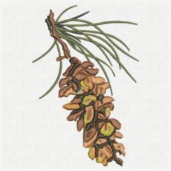Pine Cones 03(Lg)