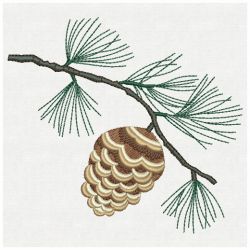 Pine Cones 05(Md)