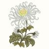 Chrysanthemums 03(Sm)