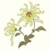 Chrysanthemums 09(Sm)