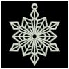 FSL Snowflakes 5 04