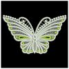 FSL Butterflies 2 01
