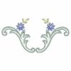 Heirloom Colorful Daisy 11