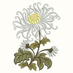 Chrysanthemums 03(Md) machine embroidery designs