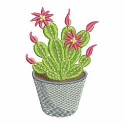Cactus 08