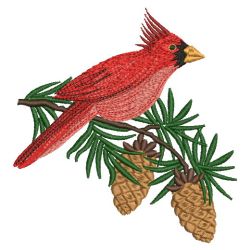 Bright Cardinals 03(Sm)