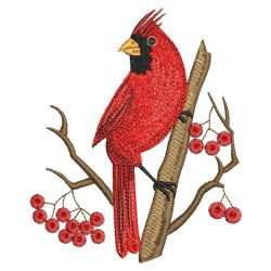 Bright Cardinals 07(Sm) machine embroidery designs