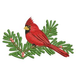 Bright Cardinals 10(Md) machine embroidery designs