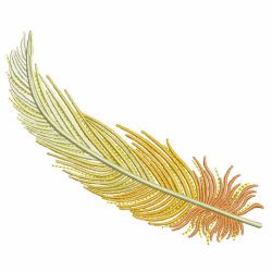 Colorful Feathers 05(Sm) machine embroidery designs