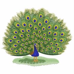 Floral Peacocks 03 machine embroidery designs
