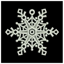 FSL Snowflakes 5 09