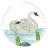 Swan Pair 04(Lg)