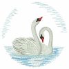 Swan Pair 08(Lg)