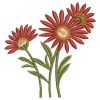 Gerbera Daisies(Sm)