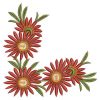Gerbera Daisies 04(Sm)