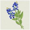 Bluebonnets 02(Sm)