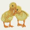 Cuddly Ducks 03