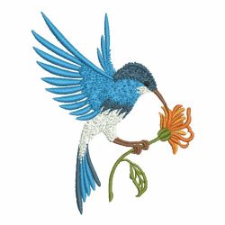 Elegant Hummingbirds 04(Md) machine embroidery designs