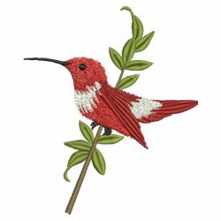 Elegant Hummingbirds 07(Md) machine embroidery designs