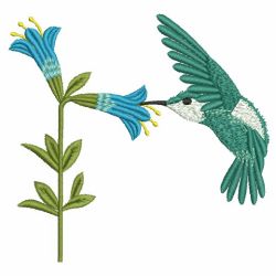 Elegant Hummingbirds 09(Lg)