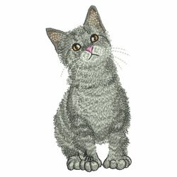 Kittens 03(Md) machine embroidery designs