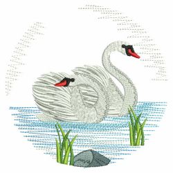 Swan Pair 04(Md)