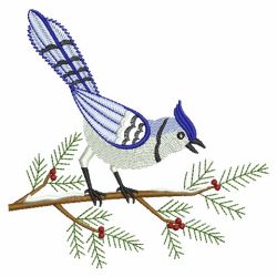 Winter Blue Jay 02(Sm) machine embroidery designs