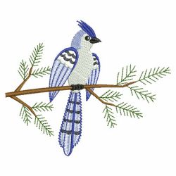 Winter Blue Jay 03(Sm) machine embroidery designs