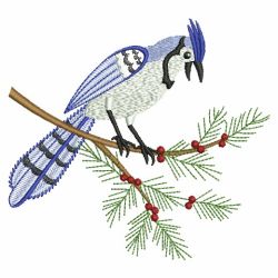Winter Blue Jay 04(Lg) machine embroidery designs