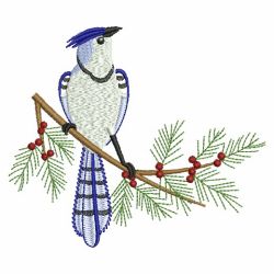 Winter Blue Jay 07(Md) machine embroidery designs