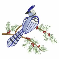 Winter Blue Jay 08(Md) machine embroidery designs